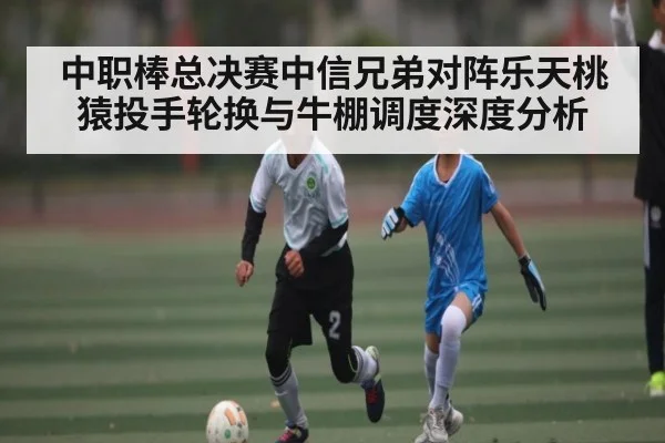中职棒总决赛中信兄弟对阵乐天桃猿投手轮换与牛棚调度深度分析
